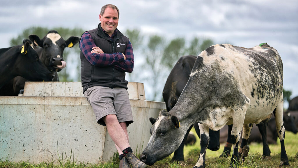 Breiffni Daly with dairy cows