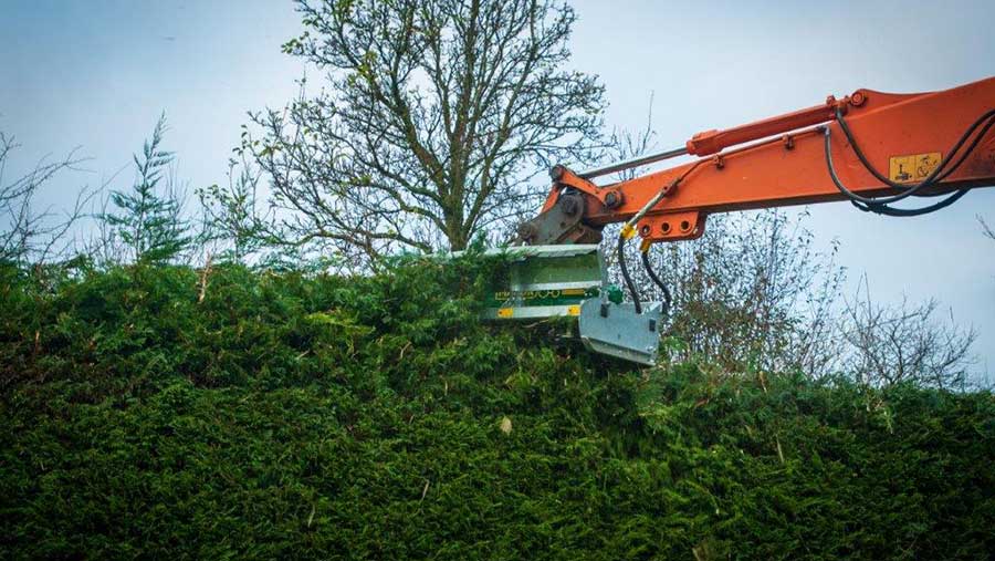 Hedge trimmer cutting a hedge